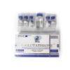 ZPHC L-Glutathione 3000mg Kit (5 x 600mg) | Lyophilized Powder